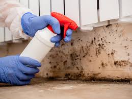 Best Asbestos and Lead Testing During Mold Inspection  in Pomeroy, WA